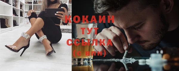 дживик Иннополис