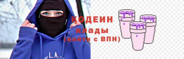 дживик Иннополис