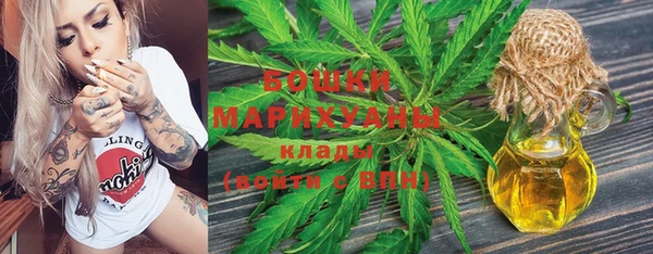 дживик Иннополис