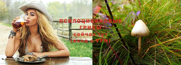 дживик Иннополис