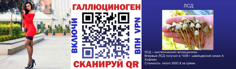 Купить где  Куйбышев  Галлюциногенные грибы Cubensis 